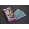 Eyeglass case
